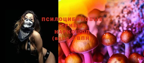 герыч Сосновый Бор