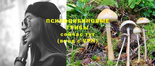 ПСИЛОЦИБИНОВЫЕ ГРИБЫ Михайловск