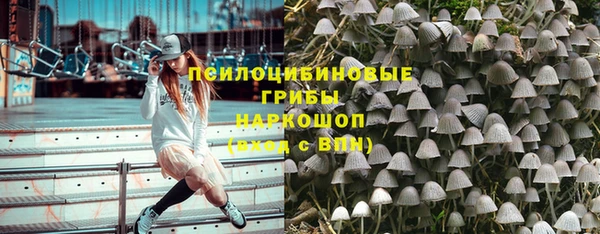 гашик Михайловка