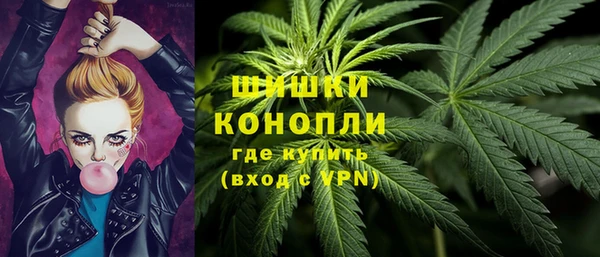 ПСИЛОЦИБИНОВЫЕ ГРИБЫ Михайловск