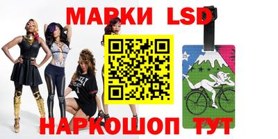 шишки Заводоуковск