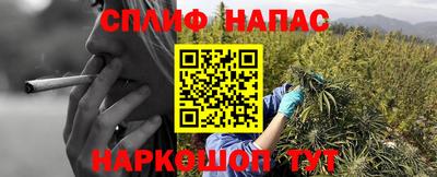 шишки Заводоуковск