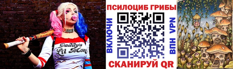 где купить Самара Псилоцибиновые грибы ЛСД