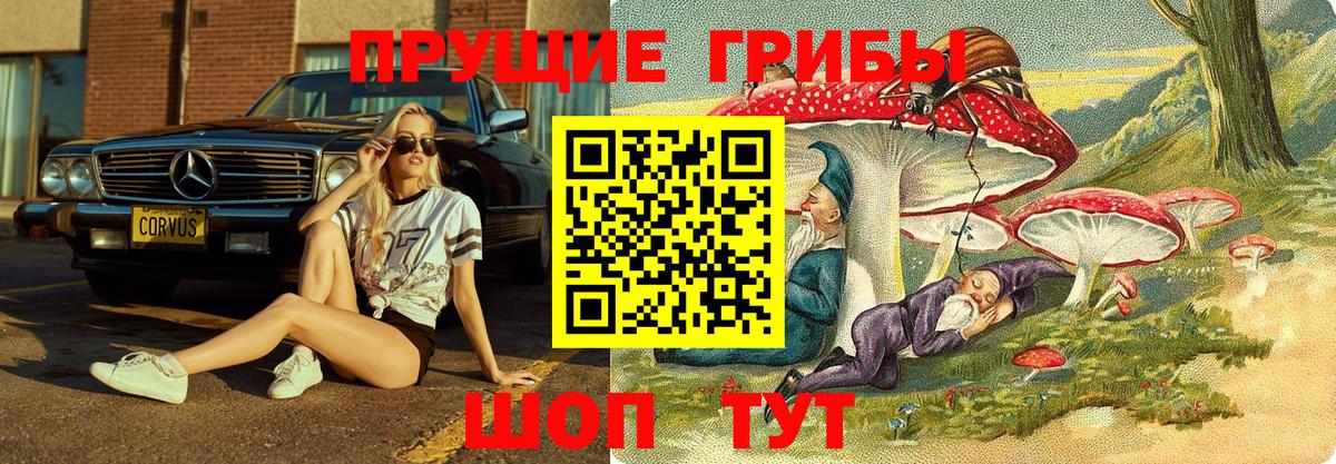 Псилоцибиновые грибы Psilocybe  Галлюциногенные грибы Psilocybe  Вход с VPN  Самара 
